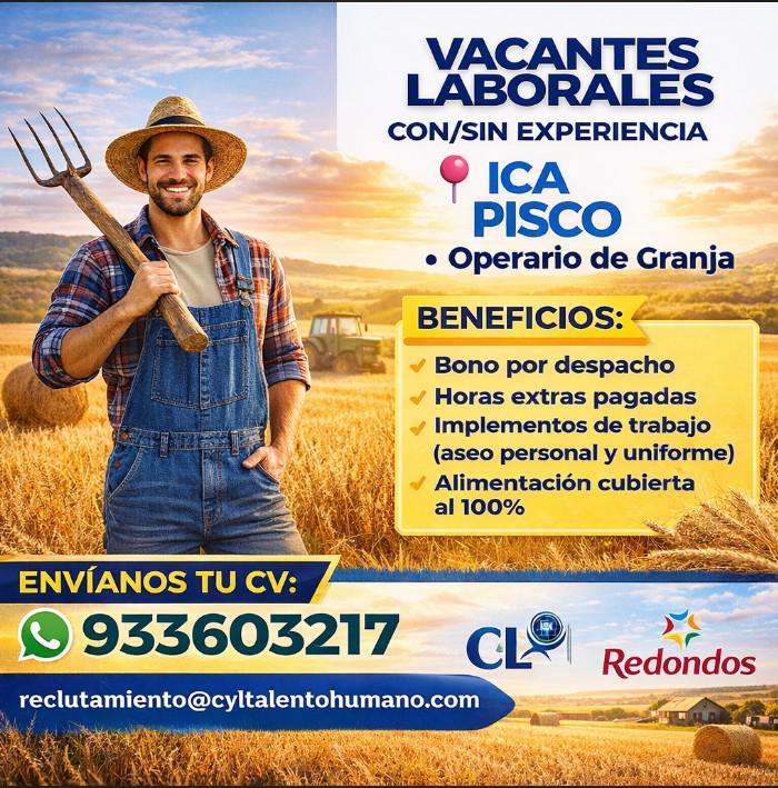 Operario de granja en Perú - Imagen 1