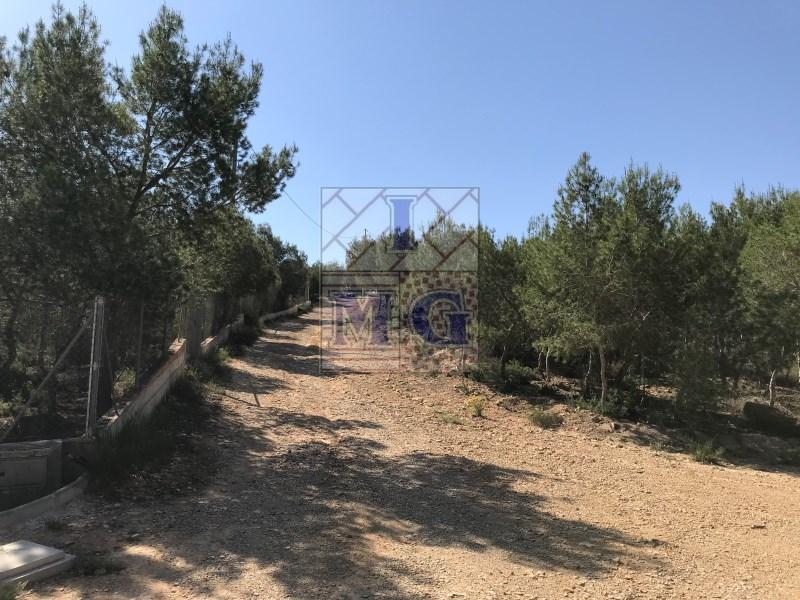 PARCELA RUSTICA en Orihuela - Imagen 1