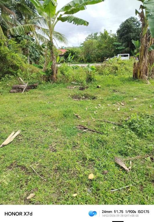 Newly Opened Lots in Ronda, Cebu – Selling Fast in Boac - Image 2