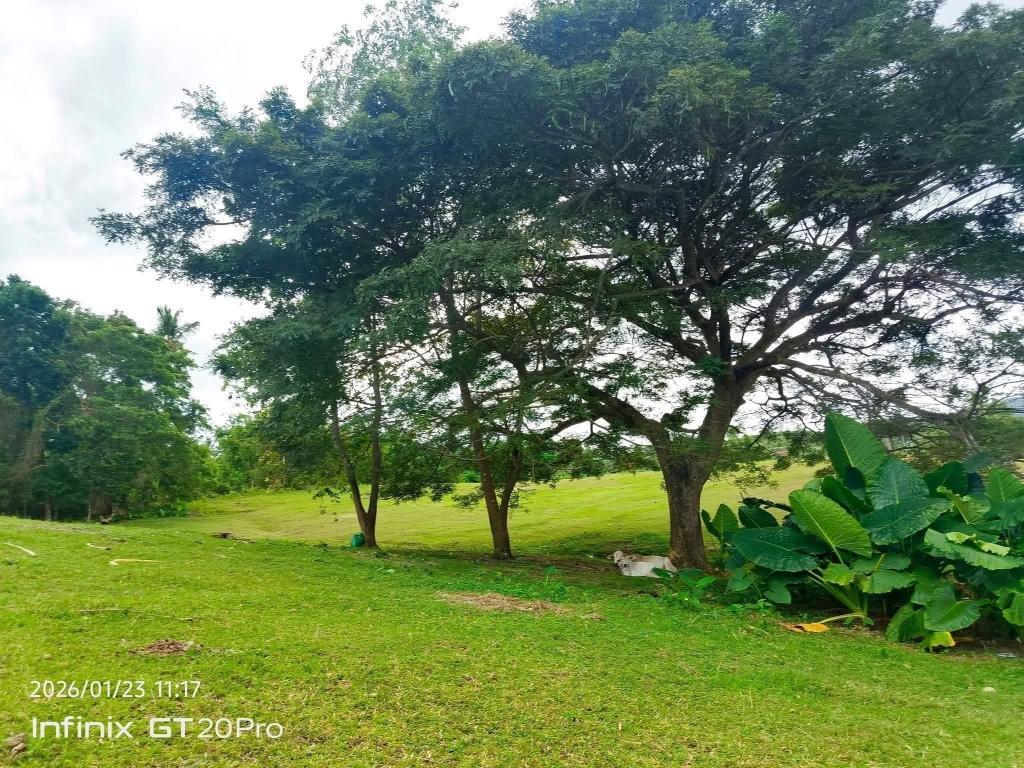 Newly Opened Lots in Ronda, Cebu – Selling Fast in Boac - Image 3