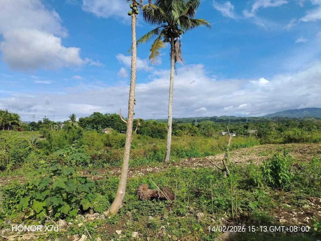 Newly Opened Lots in Ronda, Cebu – Selling Fast in Boac - Image 4