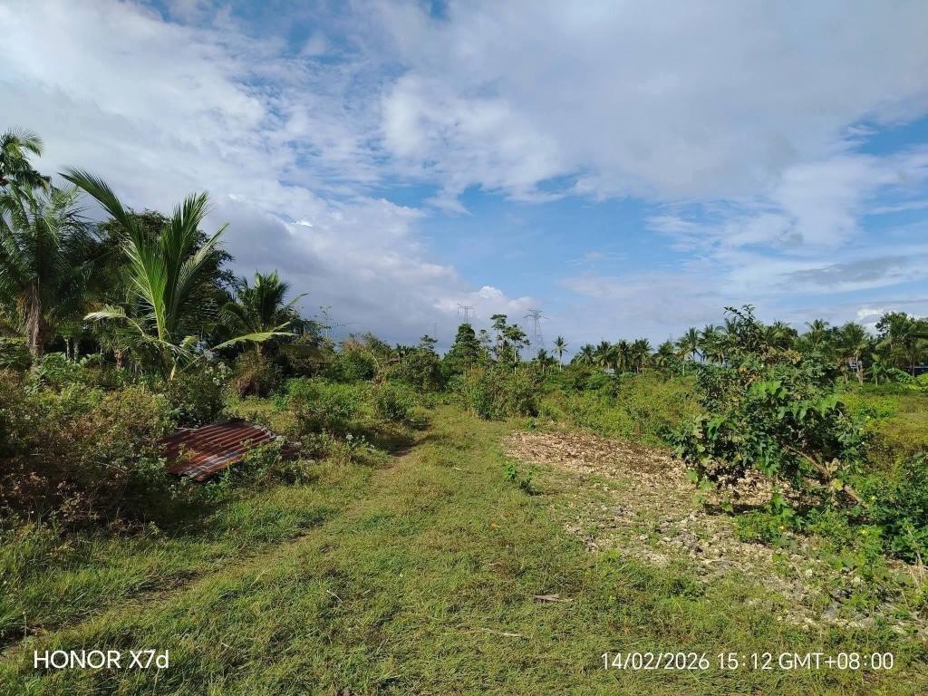 Newly Opened Lots in Ronda, Cebu – Selling Fast in Boac - Image 6