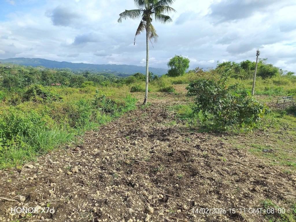 Newly Opened Lots in Ronda, Cebu – Selling Fast in Boac - Image 7