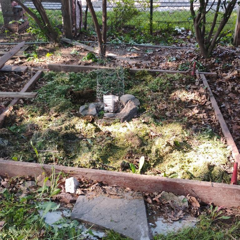 Lawn maintenance in New York - Image 4