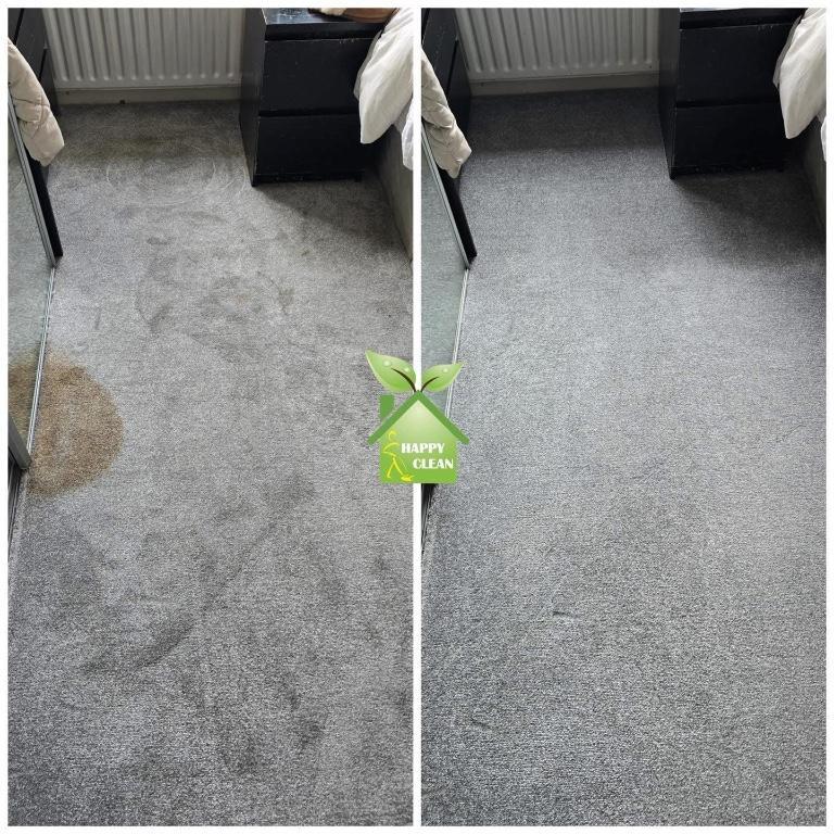 PROFESSIONAL CARPET CLEANING in Dublin - Image 3