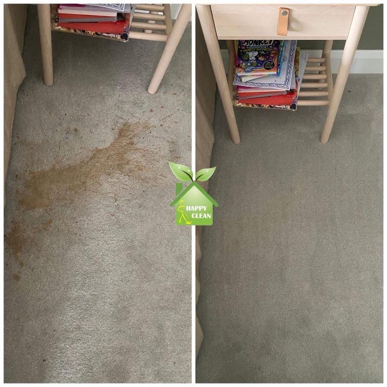 PROFESSIONAL CARPET CLEANING in Dublin - Image 4