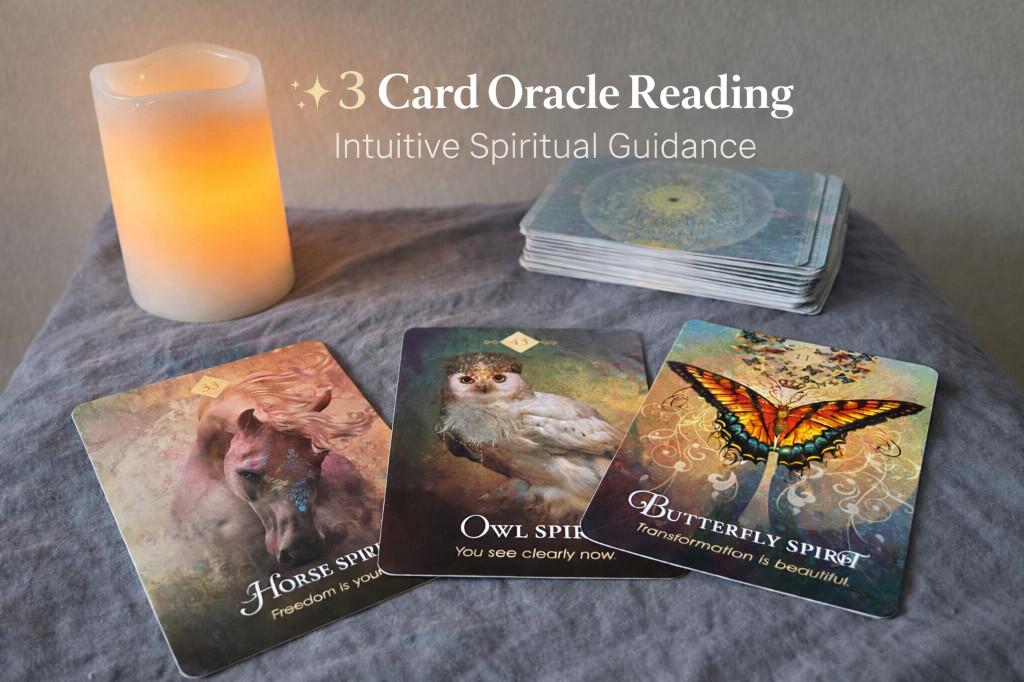 Oracle Card Readings – Guidance When You Need It in Inglewood - Image 2