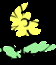 Disability Support Worker in Mudgee - Image 1