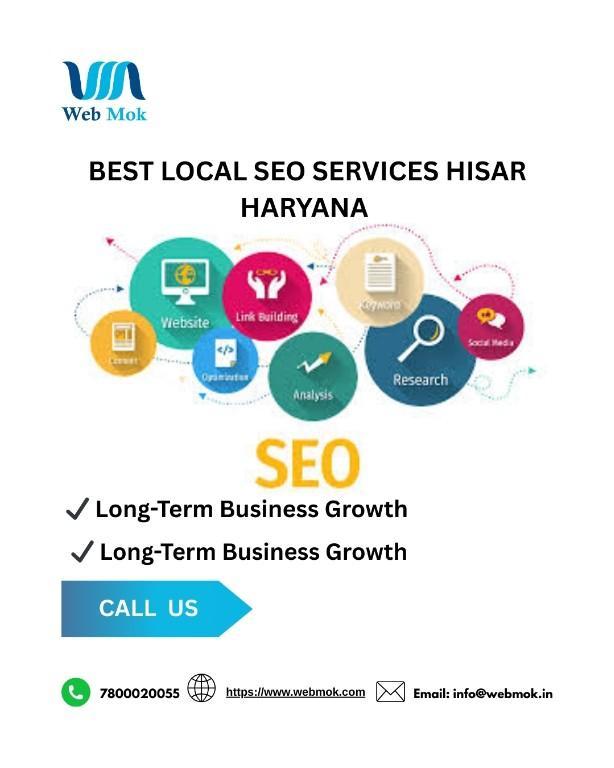 BEST Local SEO services Hisar in Hisar - Image 1
