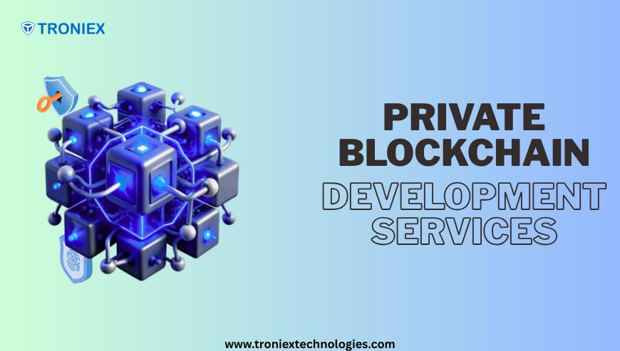 Secure Business Networks Using Private Blockchain Solutions in India - Image 1