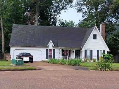 Spring Harbor Dr in Memphis - Image 1