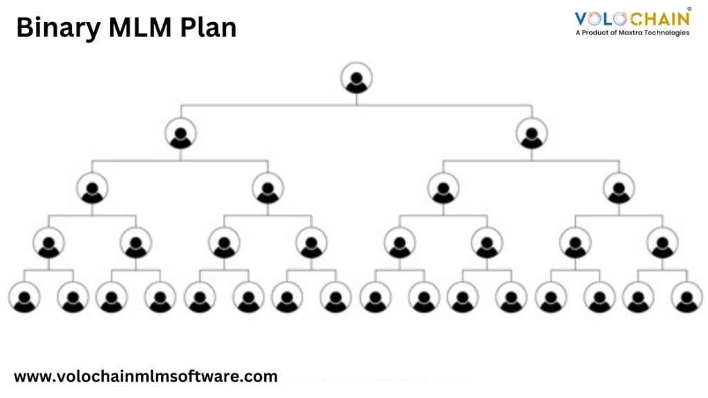 Binary MLM Software for Advanced Binary Compensation Plan in Noida - Image 1