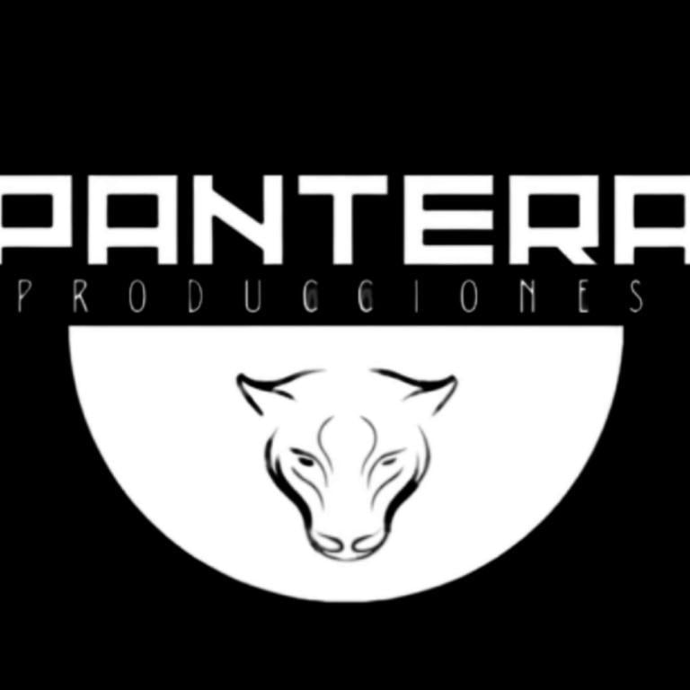 Pantera Producciones en Mar del Plata - Imagen 1