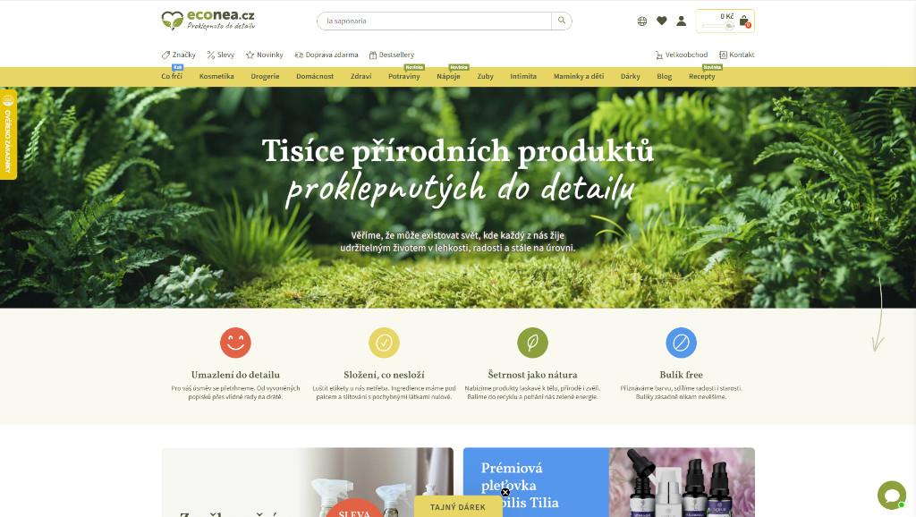 European Studio | Web Development | Business Websites in United Arab Emirates - Image 5