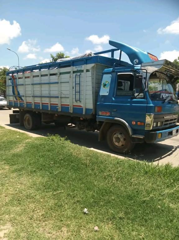MUDANZAS Y TRASLADOS en Bolivia - Imagen 5