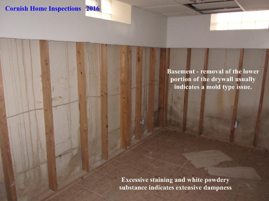 Cornish Home Inspections, Building and Consultations. in Detroit - Image 8