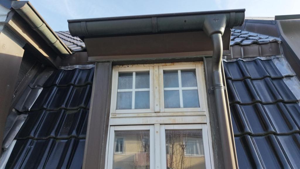 Sddsadsas in Dortmund - Bild 1