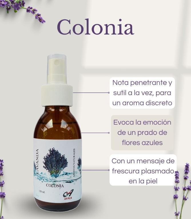 Aceite de Lavanda en Ecuador - Imagen 3
