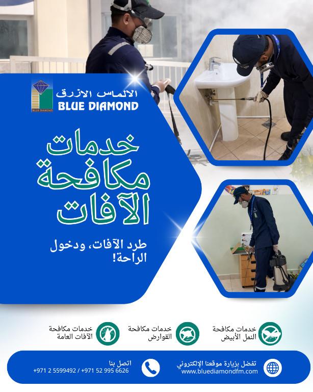 PEST PROBLEMS WE’VE GOT YOU COVERED! in United Arab Emirates - Image 2