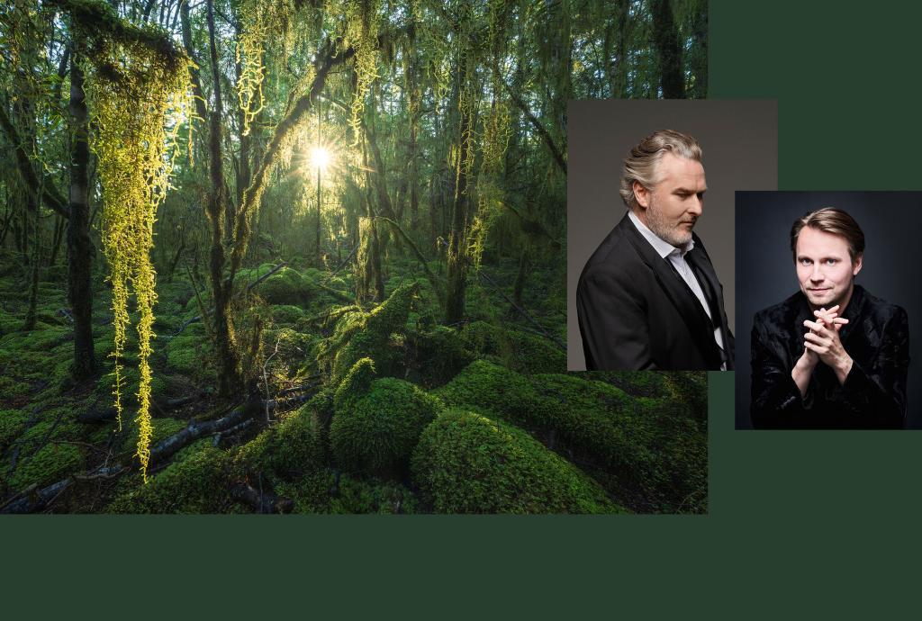 NZSO Radiance in Lower Hutt - Image 1