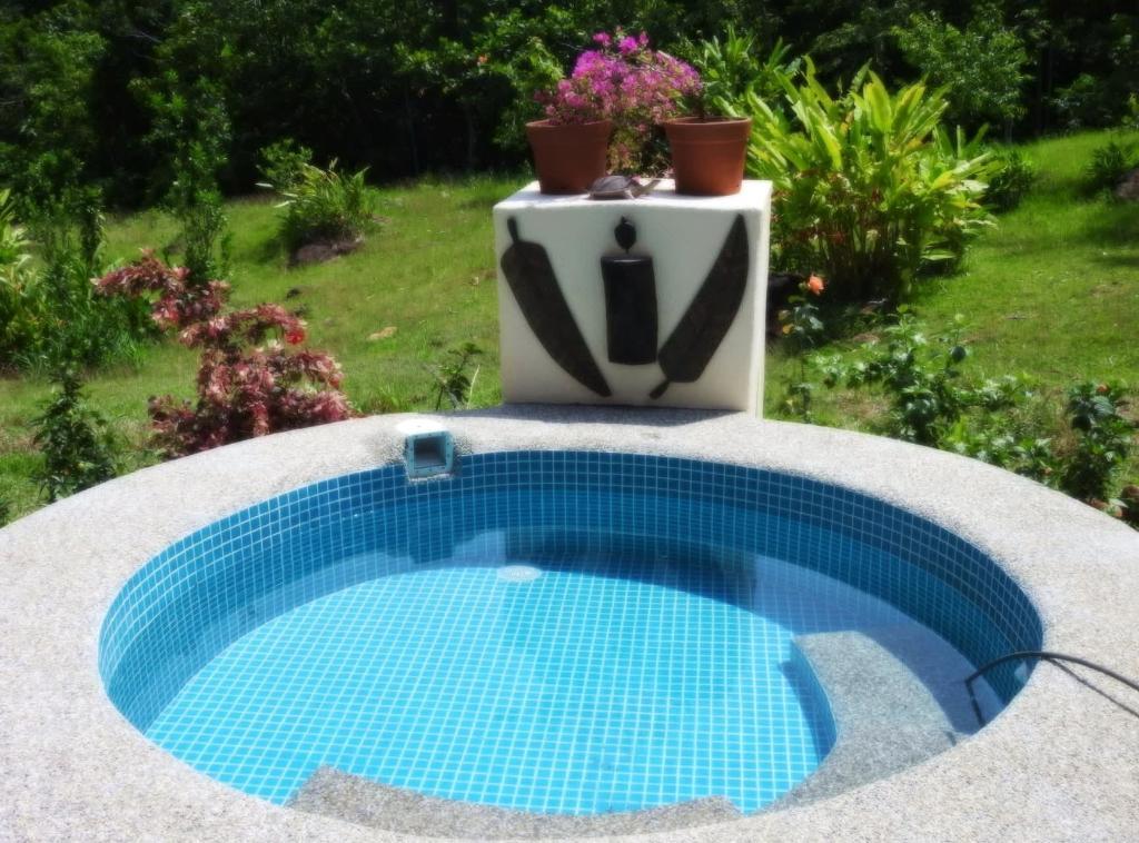 IDEAL PROPERTY FOR SPRING RESORT IN PALAWAN FOR SALE in Puerto Princesa - Image 3