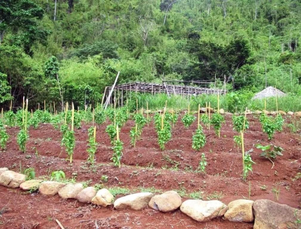 IDEAL PROPERTY FOR SPRING RESORT IN PALAWAN FOR SALE in Puerto Princesa - Image 4