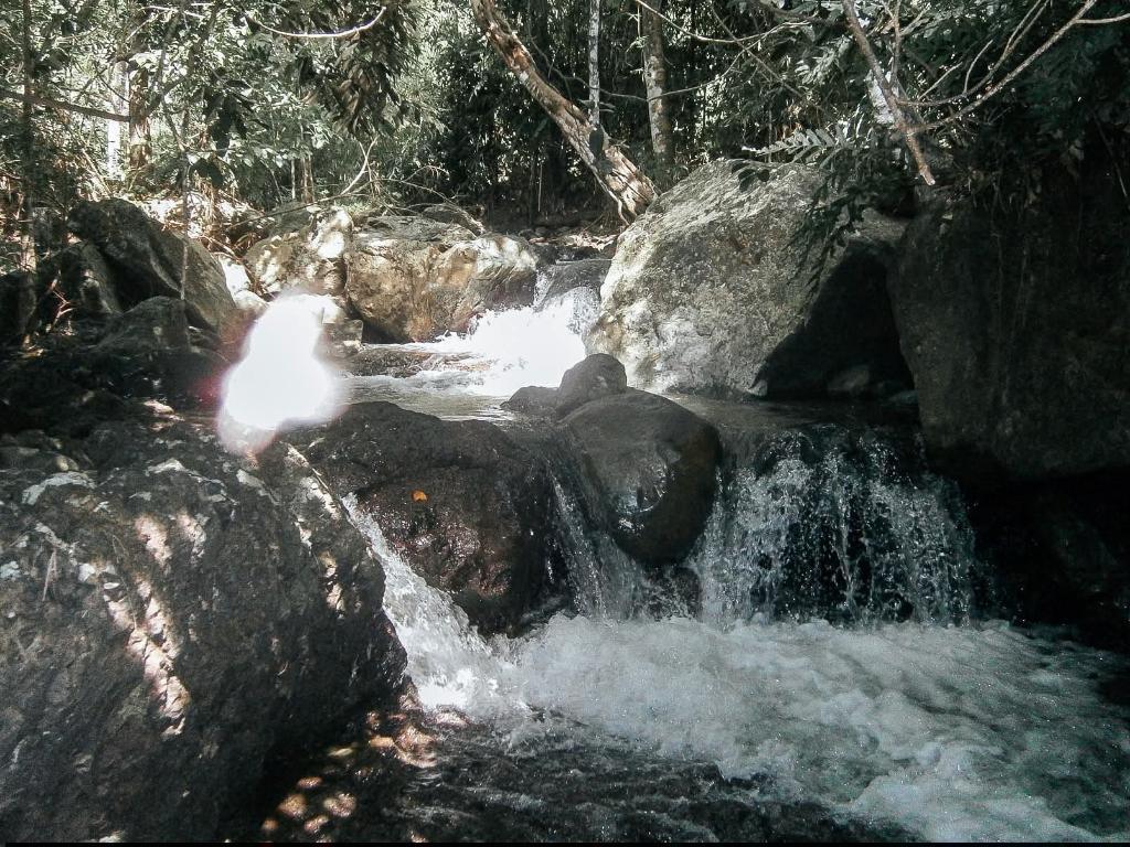 IDEAL PROPERTY FOR SPRING RESORT IN PALAWAN FOR SALE in Puerto Princesa - Image 5