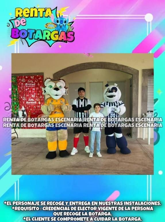 BOTARGAS EN RENTA MONTERREY en Yucatán - Imagen 4