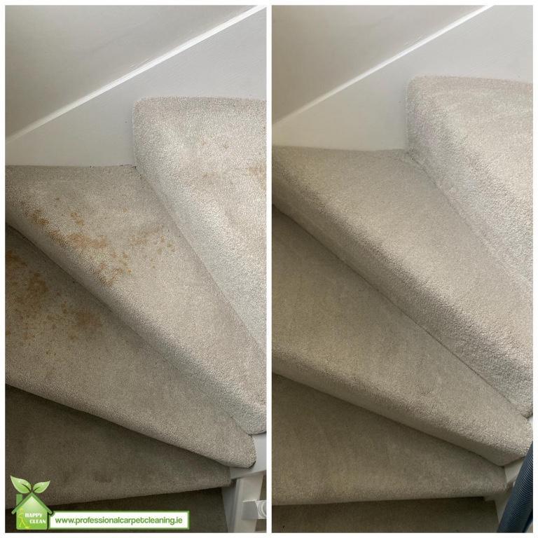 PROFESSIONAL CARPET CLEANING in Dublin - Image 2