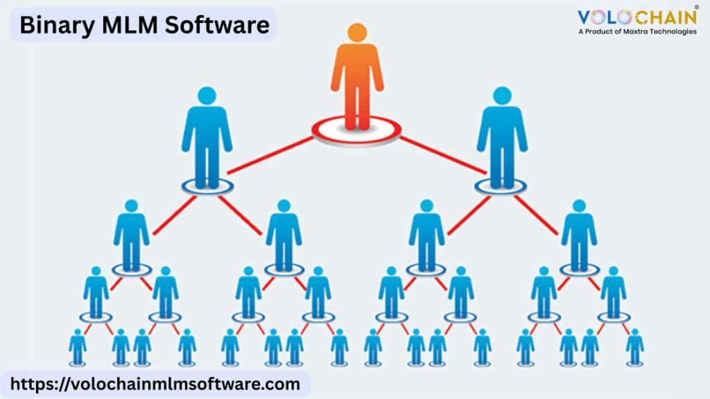 Binary MLM Software for Smart Compensation Plan & Business in Noida - Image 1