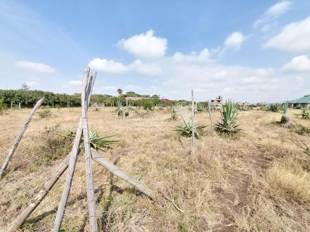 Prime 40ft by 80ft Plots For Sale In Juja in Kenya - Image 4