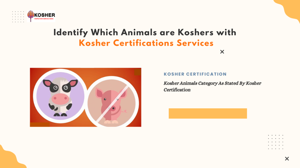 Exploring Kosher Certification – Key Benefits, Process & Require in Jawaharnagar - Image 1