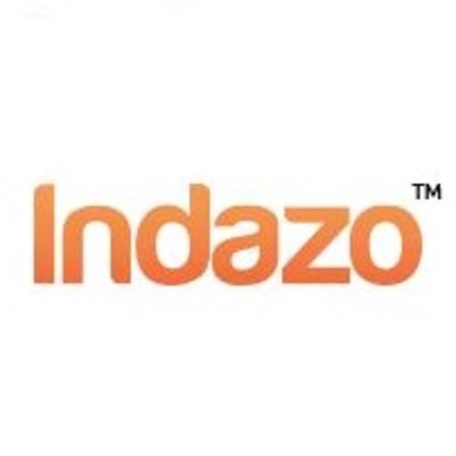 Custom Software & App Solutions by Indazo Experts in India - Image 1