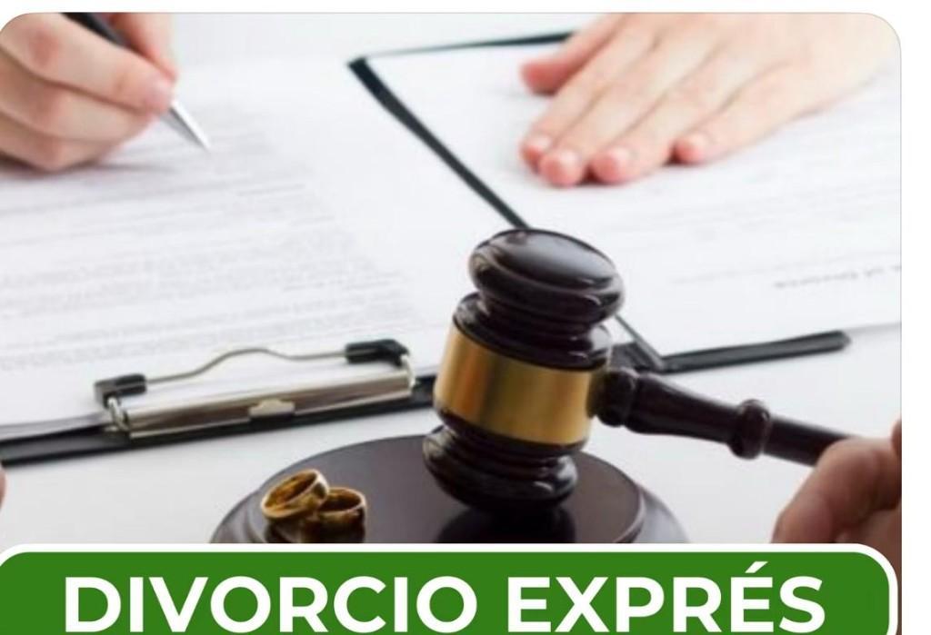 ABOGADA CON AMPLIA EXPERIENCIA en Beccar - Imagen 3