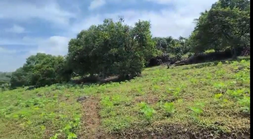 SE VENDE BELLA PROPIEDAD EN MORAZÁN DE ATENAS. en Naranjo - Imagen 5