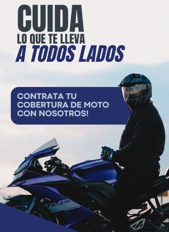 Productora asesora de seguro en Mar del Plata - Imagen 2