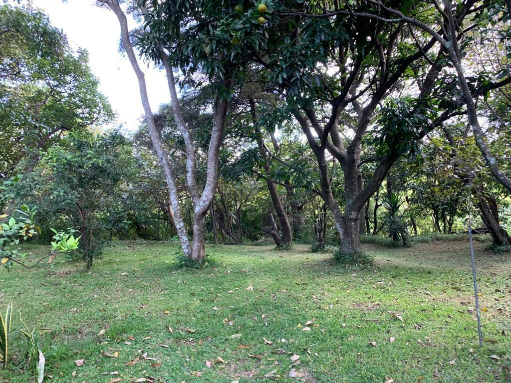 Se vende lote en San Rafael Escazú 25-1353 en Vázquez de Coronado - Imagen 4