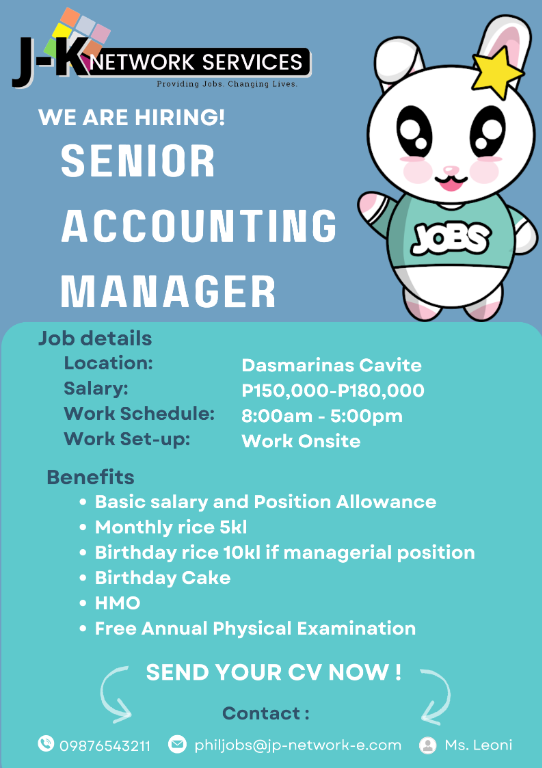 Senior Accounting Manager (Finance) in Plain View - Image 1