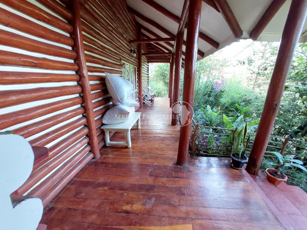 2 Bedroom Fully Furnished Cottage For Rent In Ridgeways in Nairobi - Image 14