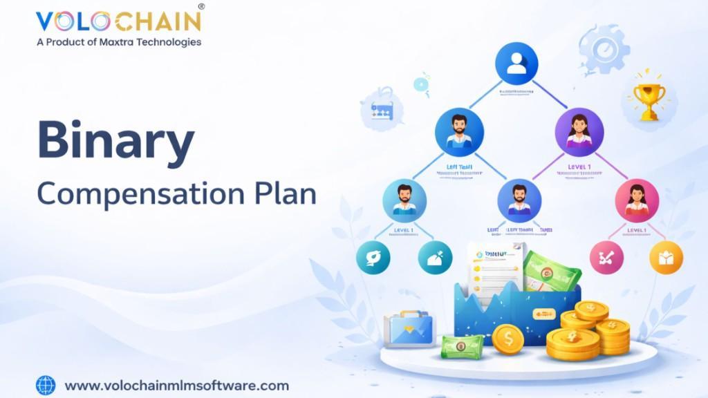 Enhance Revenue Binary Compensation Plan Using MLM Software in Noida - Image 1