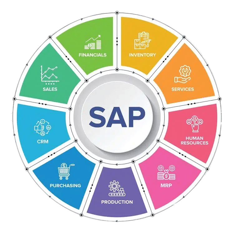 SAP Course for Fresher – Learn SAP with Placement Assistance in India - Image 1