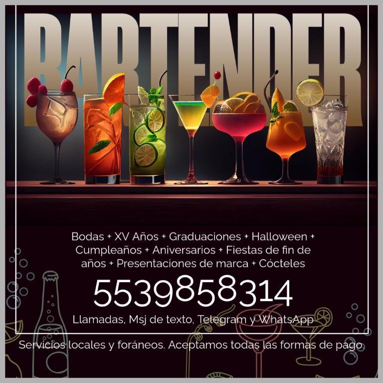 * BARTENDER Y BARRAS LIBRES en México - Imagen 1