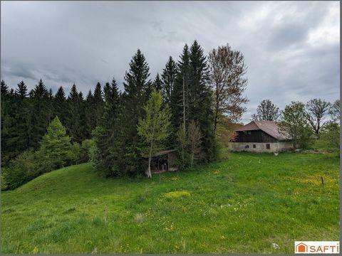 FERME A RENOVER à Thonon-les-Bains - Photo 1