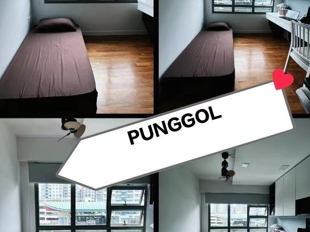 SUPERB LOCATION! RARE, NEW. MRT, LRT, Mall. in Punggol - Image 1
