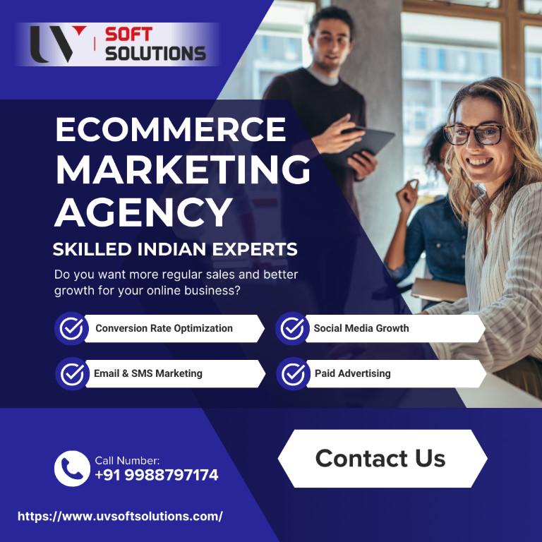 Best Ecommerce Website Development Packages In India in Chandigarh - Image 1