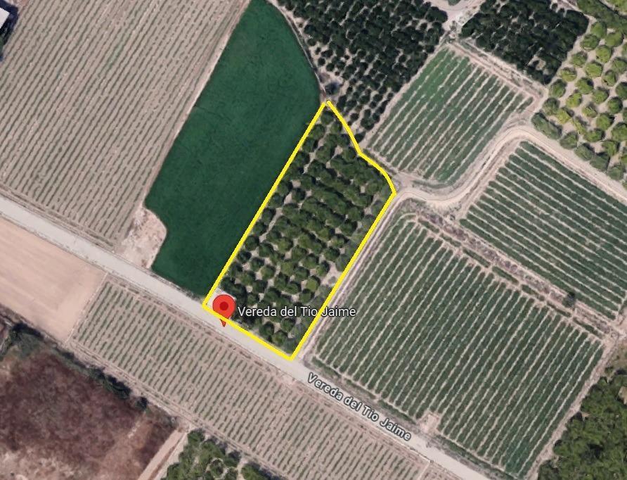 PARCELA RÚSTICA EN VENTA SANTOMERA en Orihuela - Imagen 1