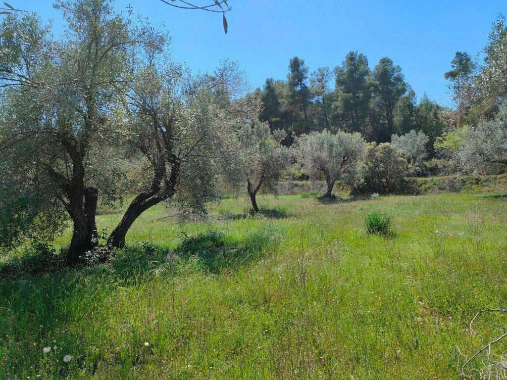 Venta de Finca rústica en Rafales en Tortosa - Imagen 1