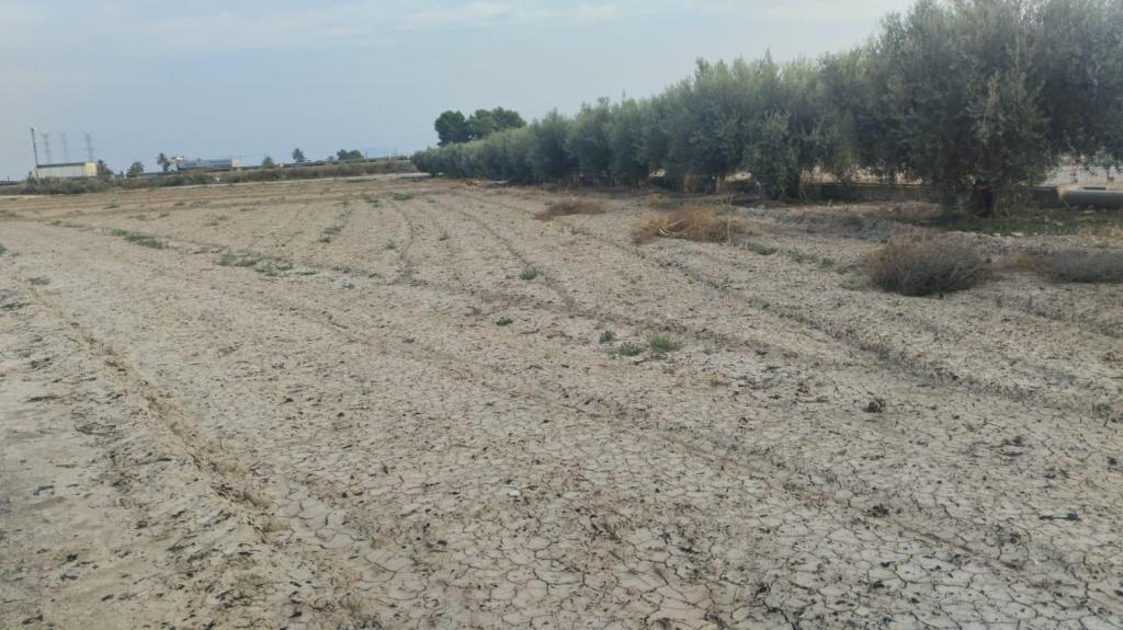 Venta de Terreno en Totana en Alhama de Murcia - Imagen 1