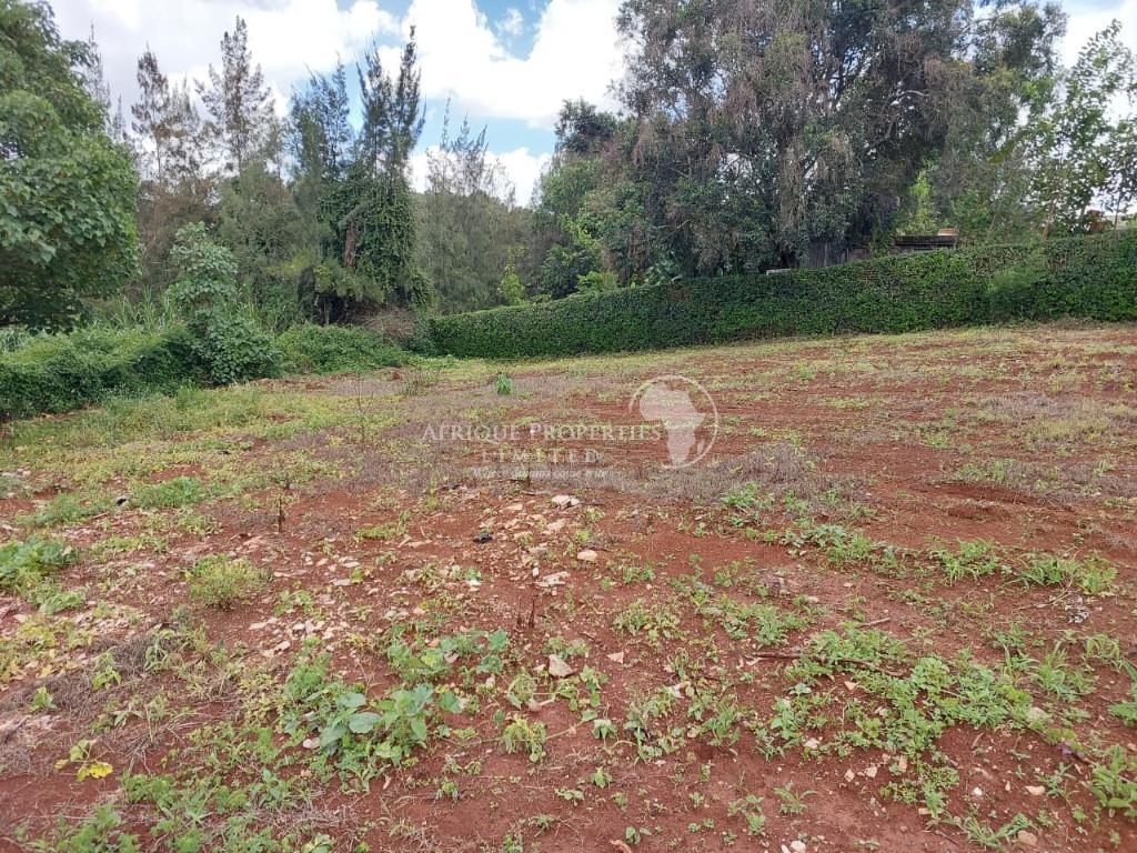 Prime 1/2 Acre Plot For Sale In Muthithi, Kiambu Road. in Kenya - Image 1