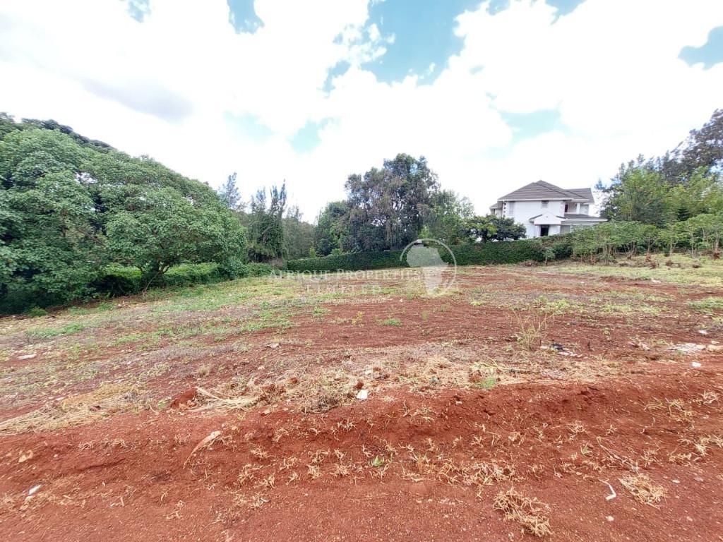 Prime 1/2 Acre Plot For Sale In Muthithi, Kiambu Road. in Kenya - Image 7